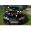 Dekoration-Kit für Hochzeit Auto - rot-weiße Rosen
