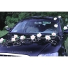 Autoschmuck für Hochzeit Lemon Rosen und Herzen