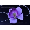 Autoschmuck Hochzeit flieder Orchideen
