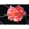 Brautautoschmuck Korallen Rosen