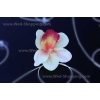 Autoschmuck Hochzeit  gelben Orchideen