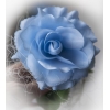 Blaue und weiße Rosen Rattanherzen Autodekoration
