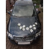Hochzeitsauto Deko Weiße Rosen