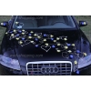 Hochzeitsschmuck für Auto gelb-blau Gänseblümchen