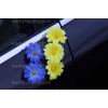 Hochzeitsschmuck für Auto gelb-blau Gänseblümchen