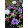 Blumenschmuck für Hochzeitsauto