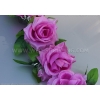 Mauve Rosen vor Autoschmuck mit Saugnapfen