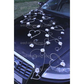 Schmuck für Hochzeitsauto weiße Gänseblümchen