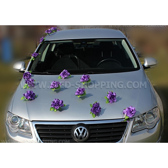 Lila Violett Rosen vor Autoschmuck mit Saugnapfen