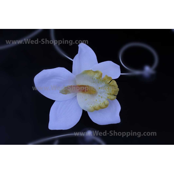 Blumen für Hochzeitsauto weiße Orchideen