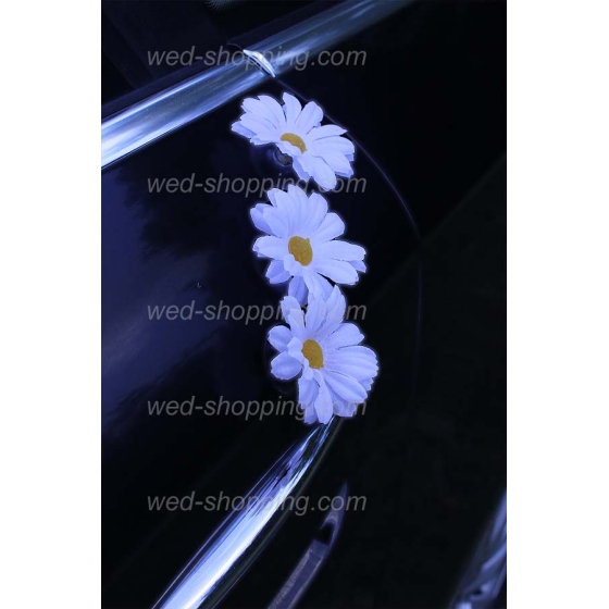 Schmuck für Hochzeitsauto weiße Gänseblümchen